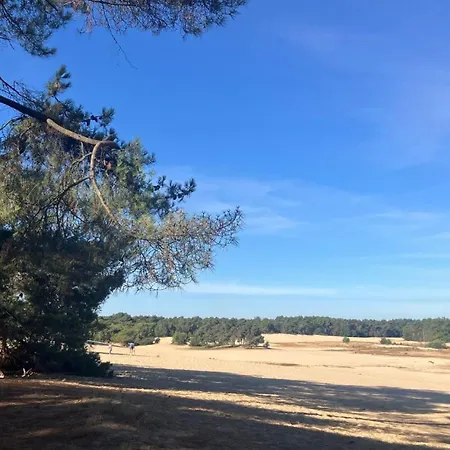 De Logeerkamer Frühstückspension Udenhout