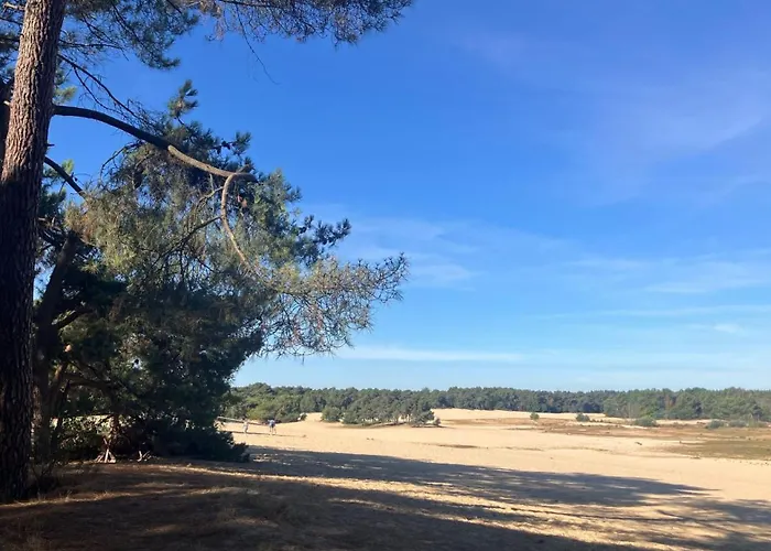 De Logeerkamer 住宿加早餐酒店 Udenhout
