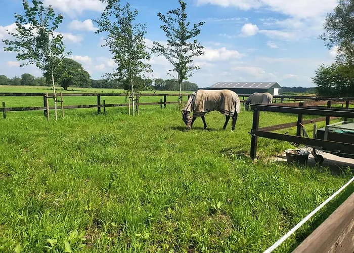 De Logeerkamer 住宿加早餐酒店