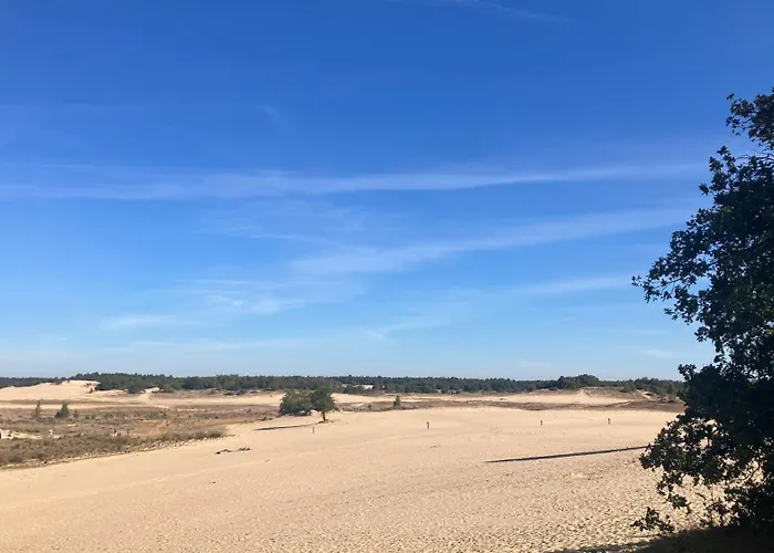 De Logeerkamer 住宿加早餐酒店 3*
