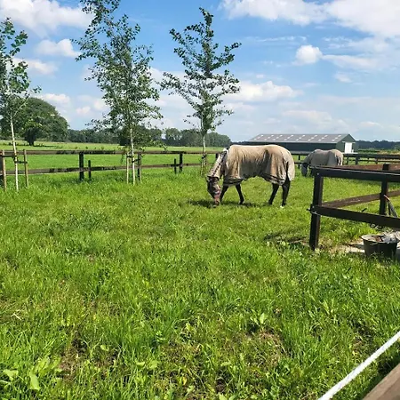 De Logeerkamer Panzió